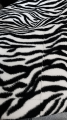 file_0000000088e4820ca6b19813ed5b911b.png